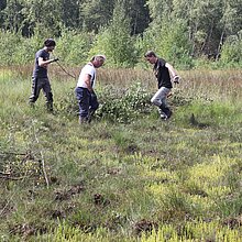 Entbuschung am Heidesee