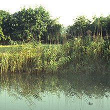 Blick in das Schutzgebiet Hehrburg