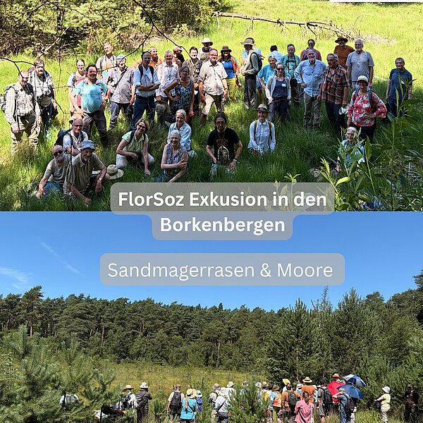 Instagram Post 18141673663500248 FlorSoz-Exkursion in den Borkenbergen 🌿Zwei spannende und ereignisreiche Tage liegen hinter uns!…