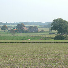 Berkelaue zwischen Billerbeck und Coesfeld