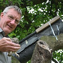 W. Rusch bei der Steinkauz-Bruterfolgskontrolle (M. Olthoff)