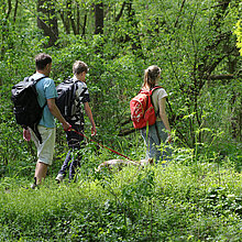 Vater mit Kindern wandern im NSG Ichterloh.