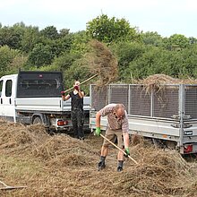 Mahdgutübertragung: Aufladen des Mahdguts der Spenderfläche zum Transport zur Empfängerfläche.