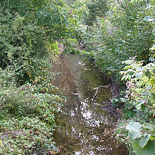 Naturnaher Flussabschnitt