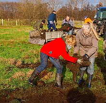 Arbeitseinsatz im Kottenbrook: Übertragung von artenreicher Grassodden.