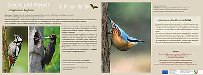 Infotafel Tiergarten