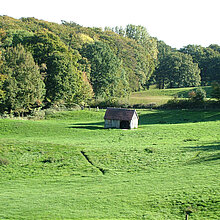 Weide mit kleiner Scheune.