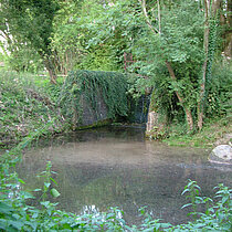 Quellteich
