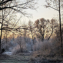 NSG Plümer Feld im Winter
