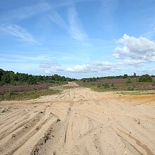 Sandwege in den Borkenbergen