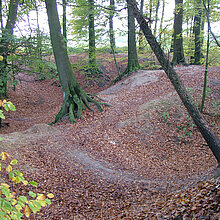 Buchenwald mit eiszeitlichen Erosionsrinnen.